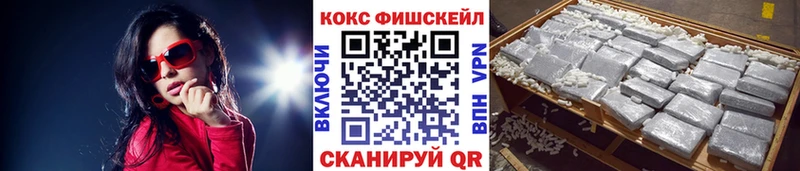 Купить закладки  Усть-Лабинск  Cocaine Fish Scale 
