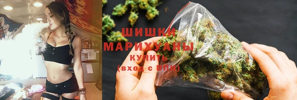 дмт Лабытнанги