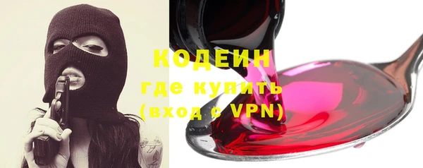 дмт Лабытнанги