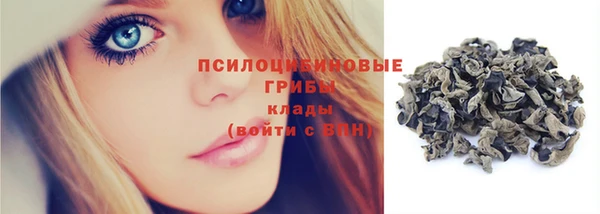 хмурый Ладушкин