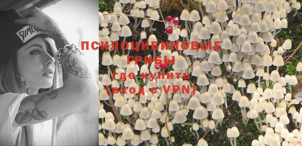 хмурый Ладушкин