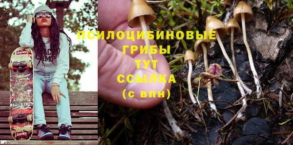 хмурый Ладушкин