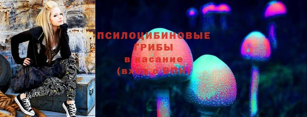 хмурый Ладушкин