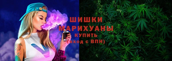 дмт Лабытнанги