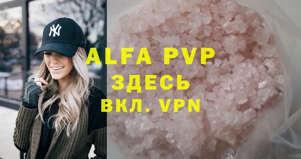 хмурый Ладушкин