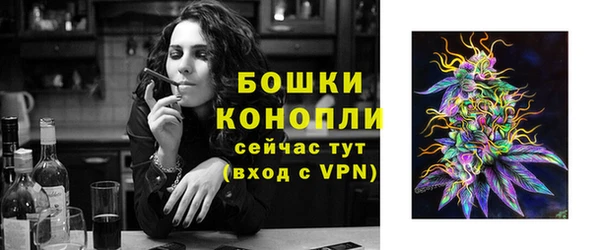 дмт Лабытнанги